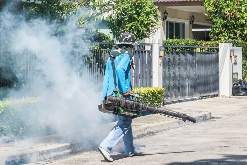 Residential Fumigation in Tampa, FL