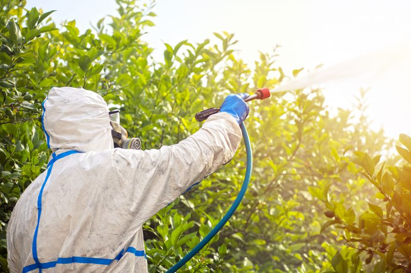 Spider Fumigation Service in Katy, TX